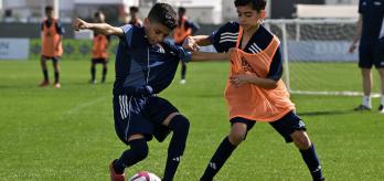 Building the foundations of collective defending